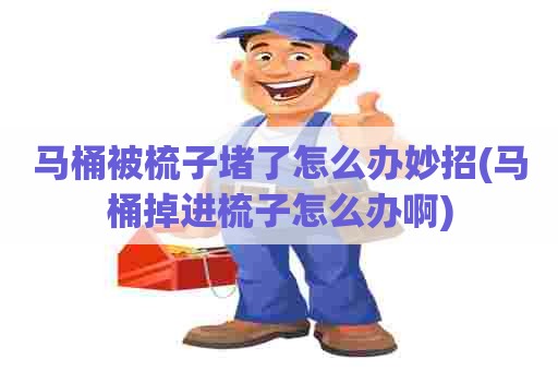 马桶被梳子堵了怎么办妙招(马桶掉进梳子怎么办啊)