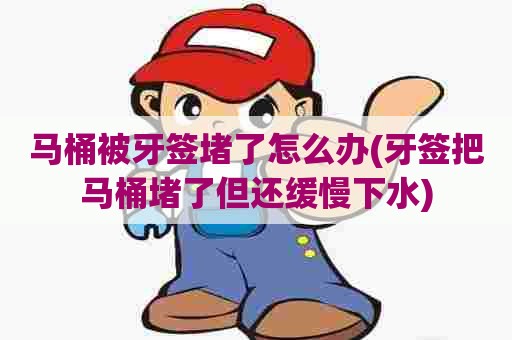 马桶被牙签堵了怎么办(牙签把马桶堵了但还缓慢下水) 马桶被牙签堵了怎么办(牙签把马桶堵了但还缓慢下水)