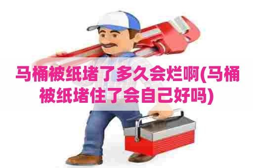 马桶被纸堵了多久会烂啊(马桶被纸堵住了会自己好吗)