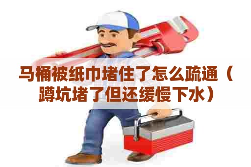 马桶被纸巾堵住了怎么疏通（蹲坑堵了但还缓慢下水）