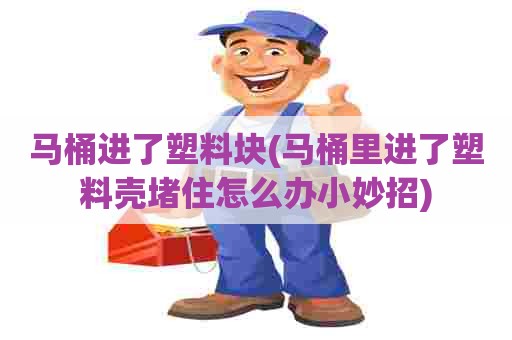 马桶进了塑料块(马桶里进了塑料壳堵住怎么办小妙招)