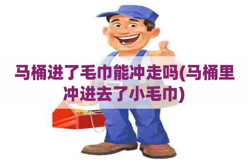 马桶进了毛巾能冲走吗(马桶里冲进去了小毛巾)