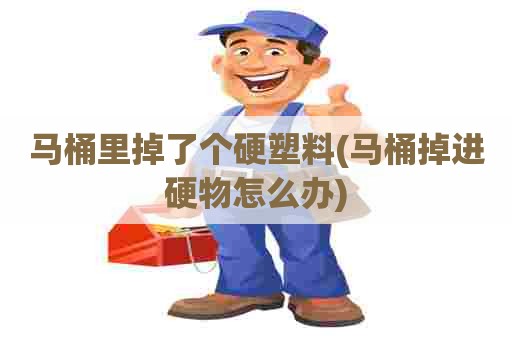马桶里掉了个硬塑料(马桶掉进硬物怎么办)