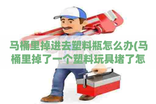 马桶里掉进去塑料瓶怎么办(马桶里掉了一个塑料玩具堵了怎么办) 马桶里掉进去塑料瓶怎么办(马桶里掉了一个塑料玩具堵了怎么办)