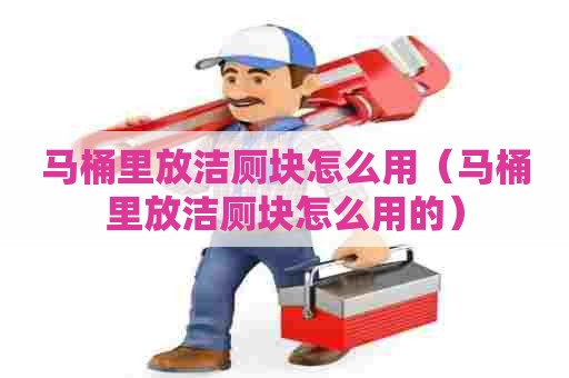 马桶里放洁厕块怎么用（马桶里放洁厕块怎么用的）