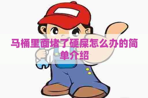 马桶里面堵了硬屎怎么办的简单介绍