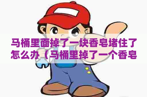 马桶里面掉了一块香皂堵住了怎么办（马桶里掉了一个香皂堵了咋办）