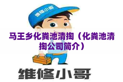 马王乡化粪池清掏（化粪池清掏公司简介）