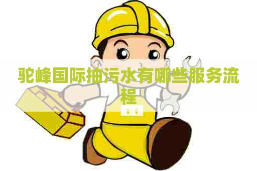 驼峰国际抽污水有哪些服务流程