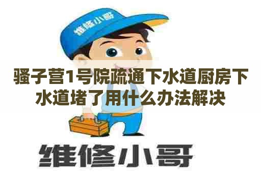 骚子营1号院疏通下水道厨房下水道堵了用什么办法解决