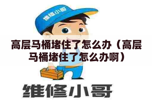 高层马桶堵住了怎么办（高层马桶堵住了怎么办啊）