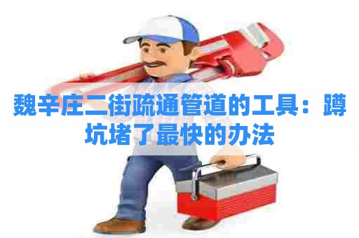 魏辛庄二街疏通管道的工具：蹲坑堵了最快的办法