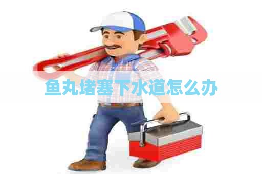 鱼丸堵塞下水道怎么办 鱼丸堵塞下水道怎么办