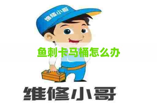 鱼刺卡马桶怎么办