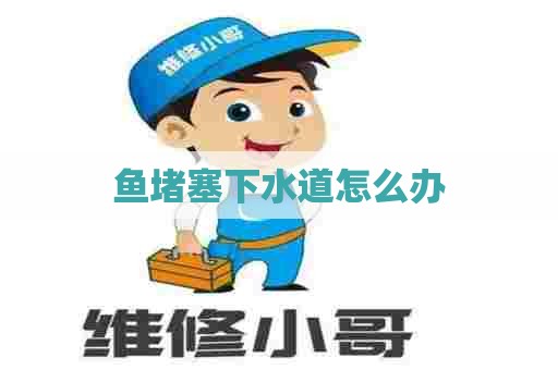 鱼堵塞下水道怎么办