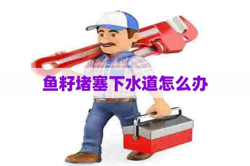鱼籽堵塞下水道怎么办
