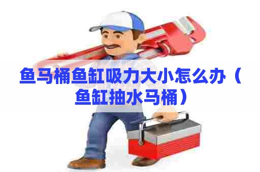 鱼马桶鱼缸吸力大小怎么办（鱼缸抽水马桶）