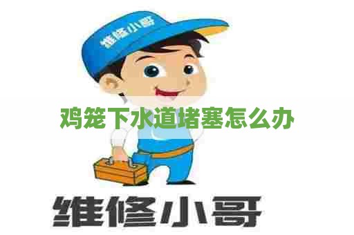 鸡笼下水道堵塞怎么办 鸡笼下水道堵塞怎么办