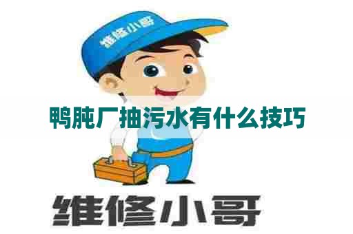 鸭肫厂抽污水有什么技巧 鸭肫厂抽污水有什么技巧