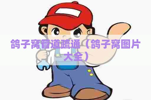 鸽子窝管道疏通（鸽子窝图片大全）