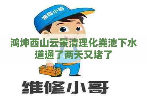 鸿坤西山云景清理化粪池下水道通了两天又堵了