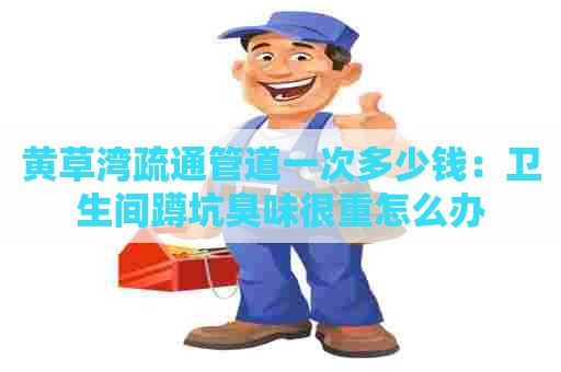 黄草湾疏通管道一次多少钱：卫生间蹲坑臭味很重怎么办