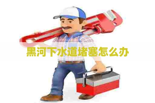 黑河下水道堵塞怎么办