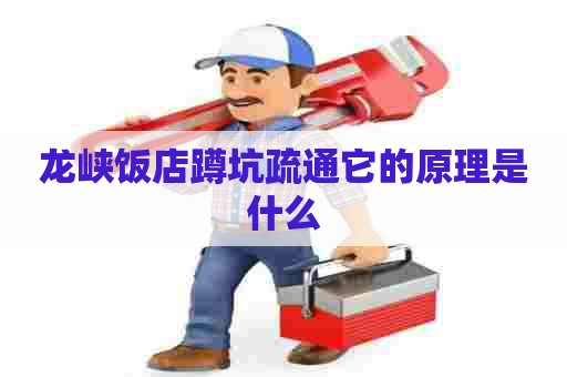 龙峡饭店蹲坑疏通它的原理是什么