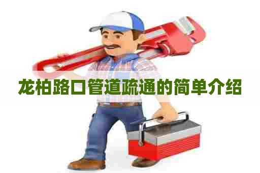 龙柏路口管道疏通的简单介绍