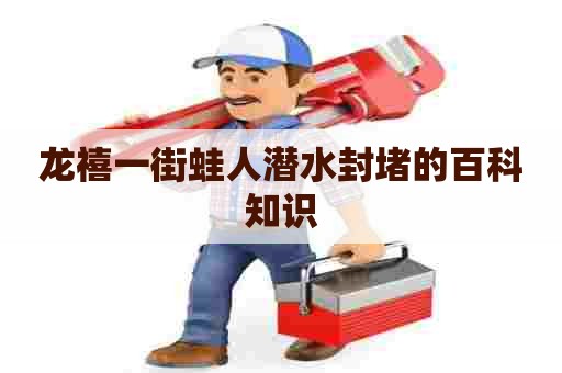 龙禧一街蛙人潜水封堵的百科知识