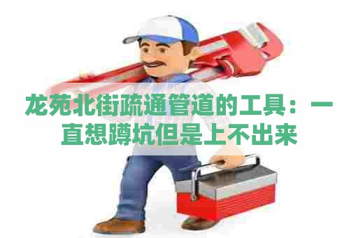 龙苑北街疏通管道的工具：一直想蹲坑但是上不出来