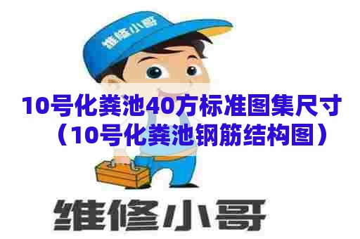 10号化粪池40方标准图集尺寸（10号化粪池钢筋结构图）