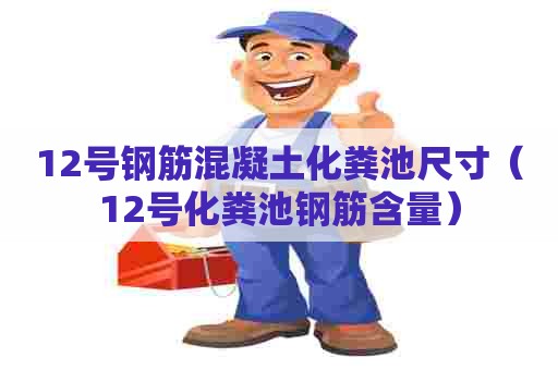 12号钢筋混凝土化粪池尺寸（12号化粪池钢筋含量）