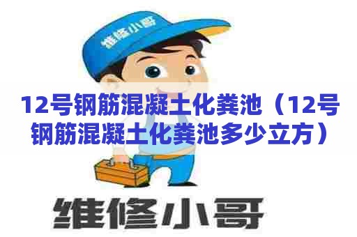 12号钢筋混凝土化粪池（12号钢筋混凝土化粪池多少立方）