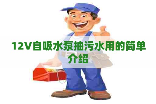 12V自吸水泵抽污水用的简单介绍