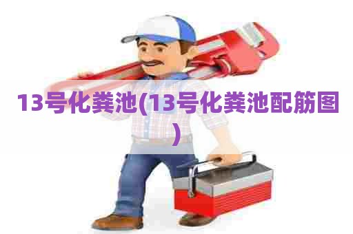 13号化粪池(13号化粪池配筋图) 13号化粪池(13号化粪池配筋图)