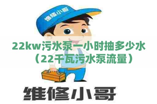 22kw污水泵一小时抽多少水（22千瓦污水泵流量）