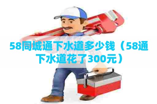 58同城通下水道多少钱（58通下水道花了300元）