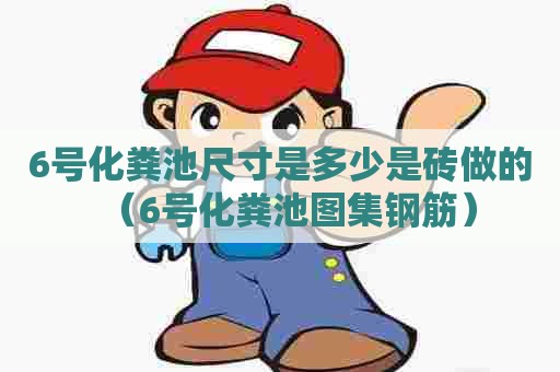 6号化粪池尺寸是多少是砖做的（6号化粪池图集钢筋）