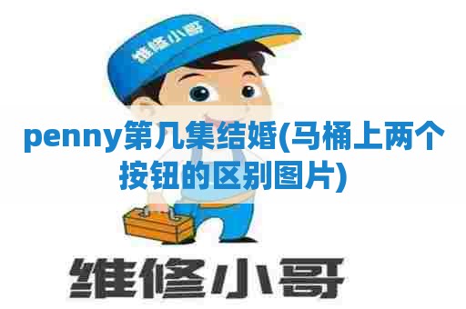 penny第几集结婚(马桶上两个按钮的区别图片)