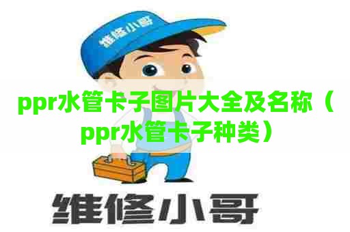 ppr水管卡子图片大全及名称（ppr水管卡子种类）