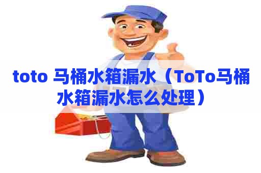 toto 马桶水箱漏水（ToTo马桶水箱漏水怎么处理）