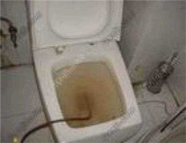 K2百合湾疏通马桶