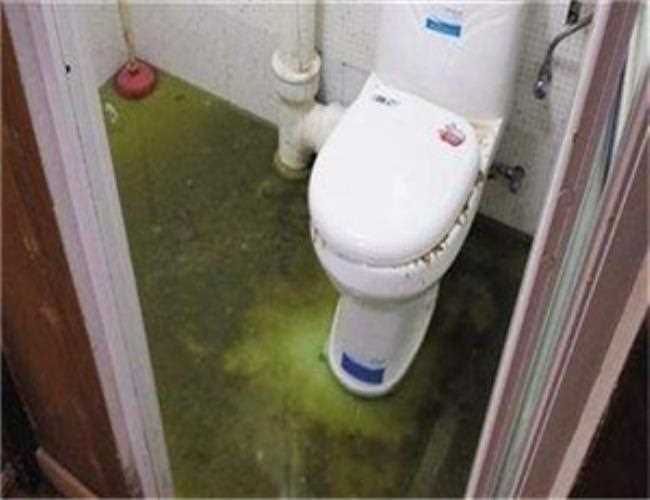 疏通下水道一般需要多少钱(卫生间堵了通一次多少钱)