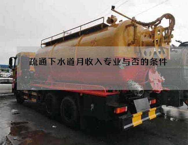 疏通下水道月收入专业与否的条件