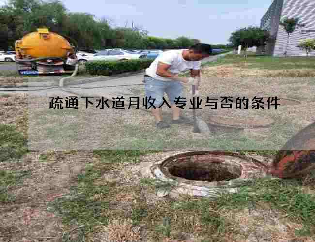疏通下水道月收入专业与否的条件