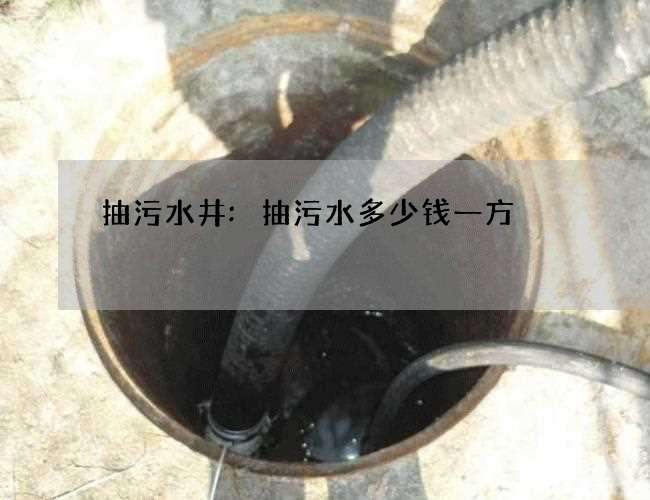 抽污水井:抽污水多少钱一方