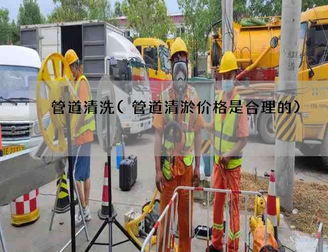管道清洗(管道清淤价格是合理的) 管道清洗(管道清淤价格是合理的)