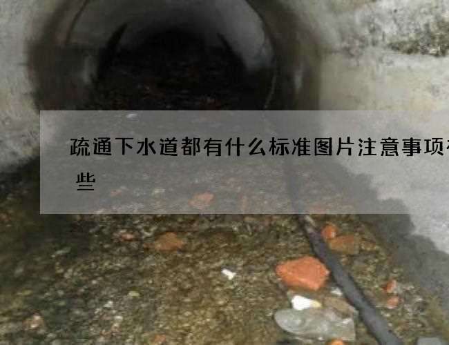 疏通下水道都有什么标准图片注意事项有哪些