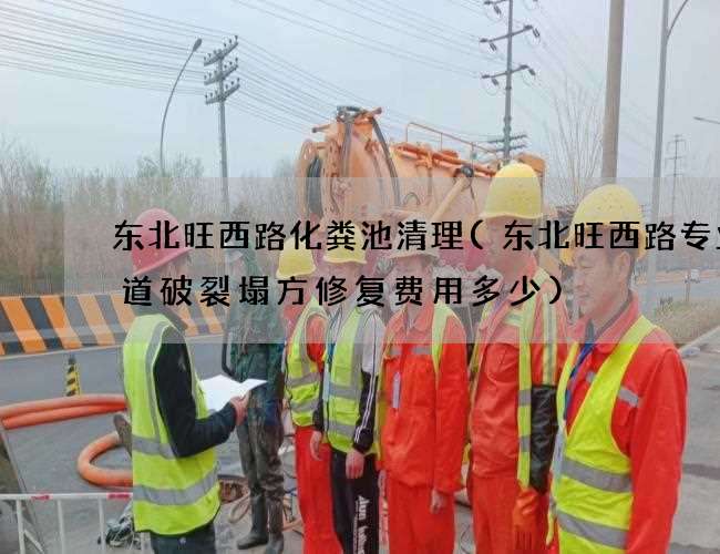 东北旺西路化粪池清理(东北旺西路专业管道破裂塌方修复费用多少)